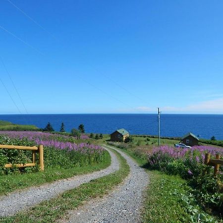 Les Chalets Brise-De-Mer Sainte-Therese-de-Gaspe Exteriör bild