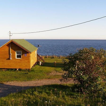 Les Chalets Brise-De-Mer Sainte-Therese-de-Gaspe Exteriör bild