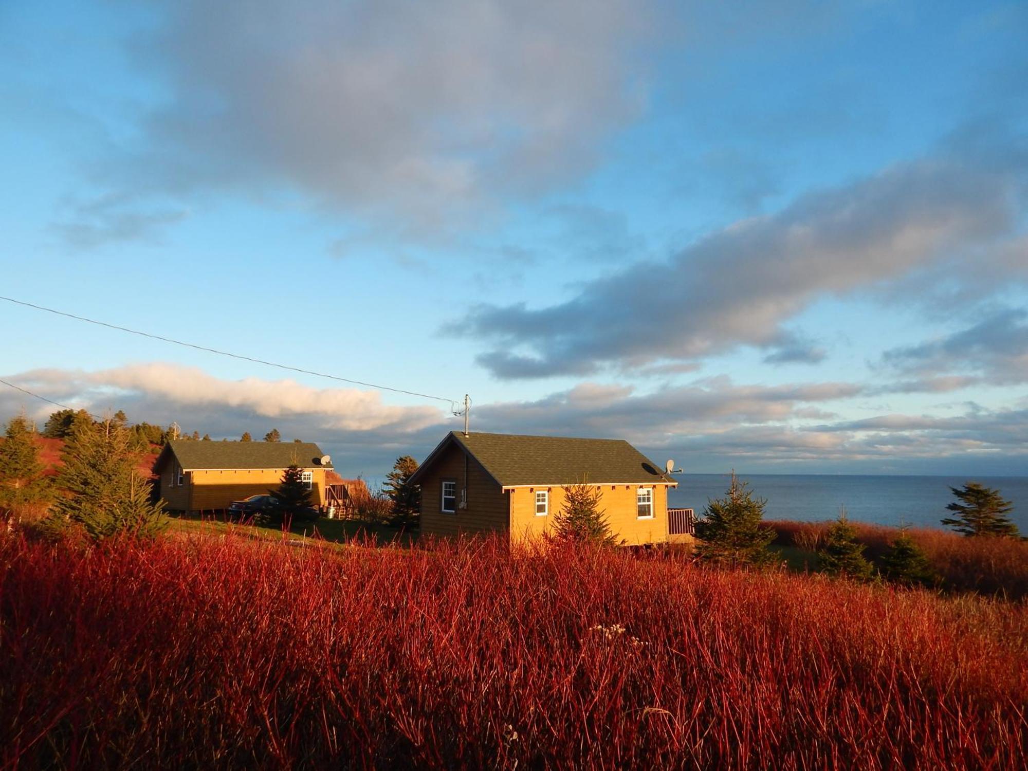 Les Chalets Brise-De-Mer Sainte-Therese-de-Gaspe Exteriör bild