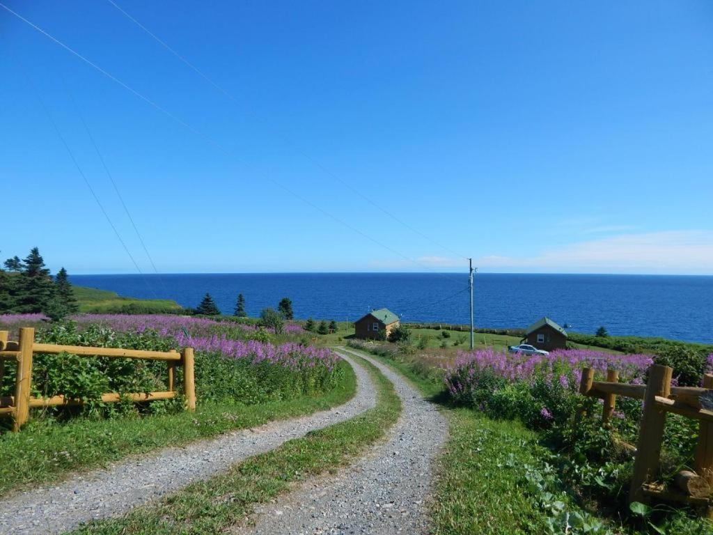 Les Chalets Brise-De-Mer Sainte-Therese-de-Gaspe Exteriör bild