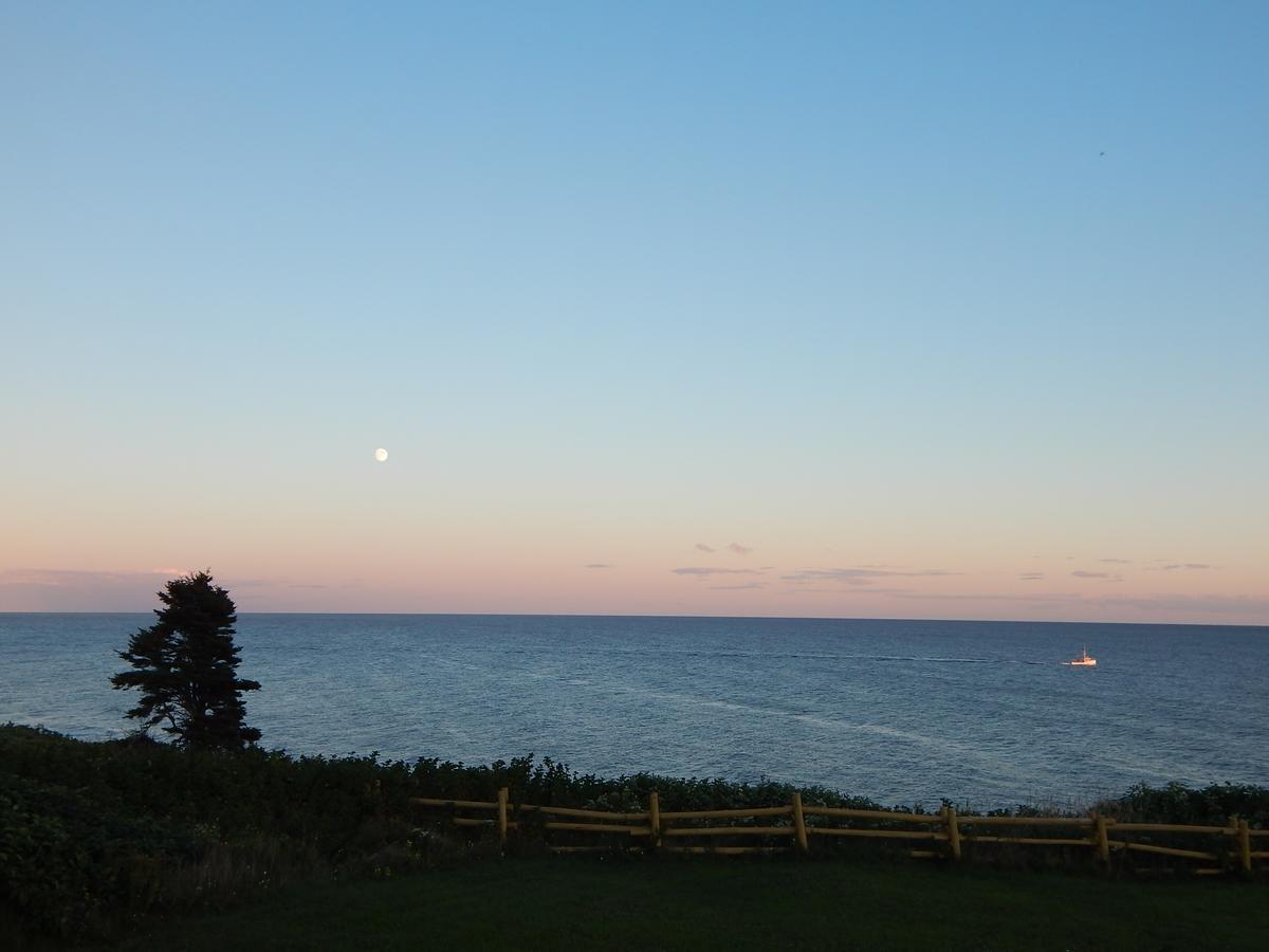 Les Chalets Brise-De-Mer Sainte-Therese-de-Gaspe Exteriör bild